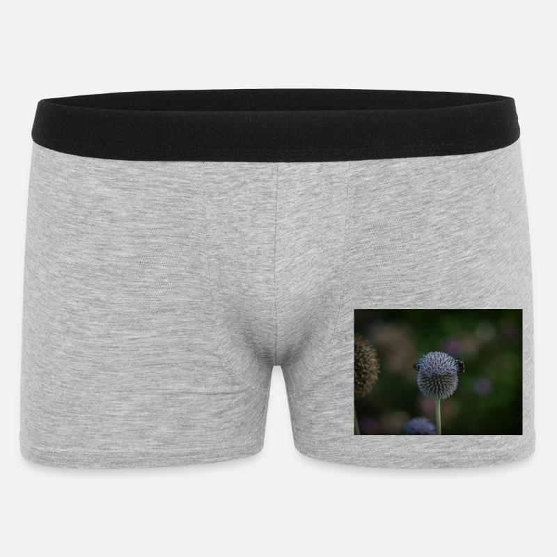 Api su cardo globo viola - Boxer da uomo - grigio melange