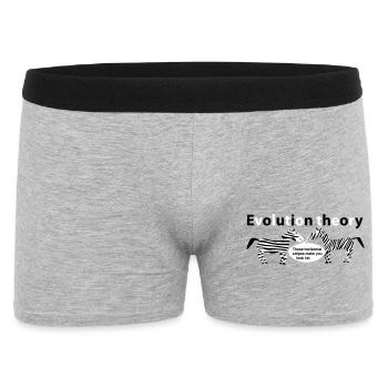 Zèbres de la théorie de l’évolution - Boxer Homme - gris chiné - Devant