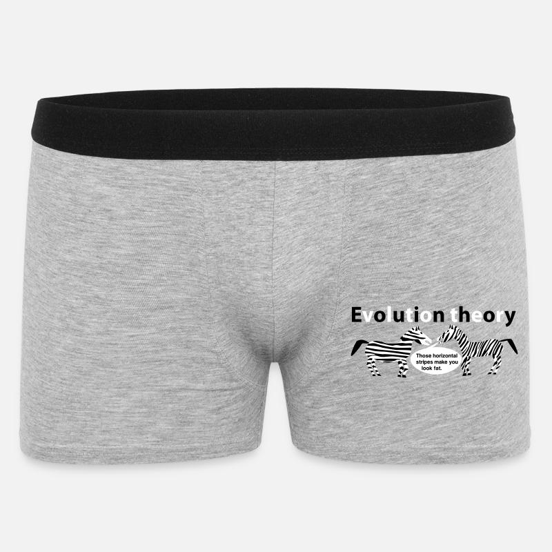 Evolution theory zebras - Men's Boxer Shorts - heather grey