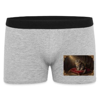 Royal Cat Pose in Baroque Frame - Men's Boxer Shorts - heather grey - Front