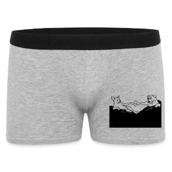 La création des chiens Michel-Ange - Boxer Homme - gris chiné - Devant
