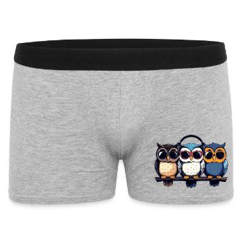 Three Cool Owls Trio With Sunglasses Headphones - Men's Boxer Shorts - heather grey - Front