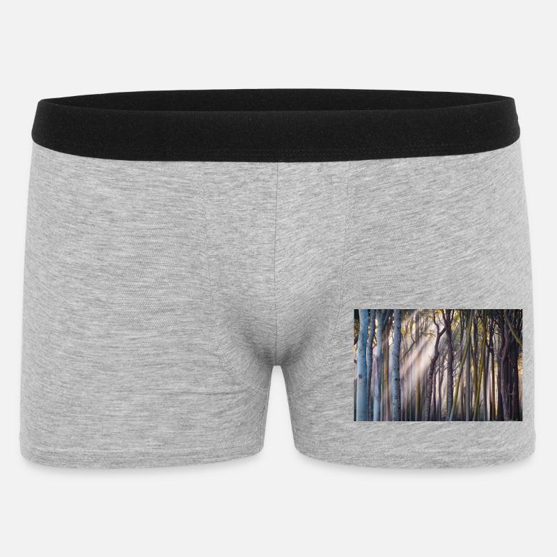 Rayons de lumière dans la forêt - Boxer Homme - gris chiné