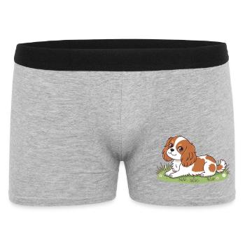 Welpenreiter in der Sonne auf Gras - Männer Boxer Shorts - Grau meliert - Vorne
