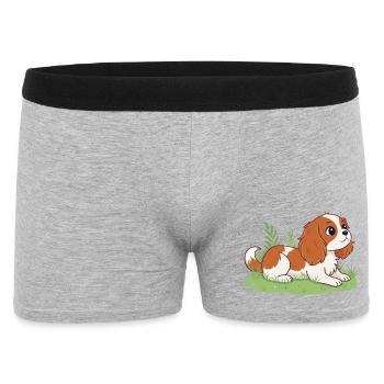 Chiot Cavalier sur herbe joyeuse - Boxer Homme - gris chiné - Devant