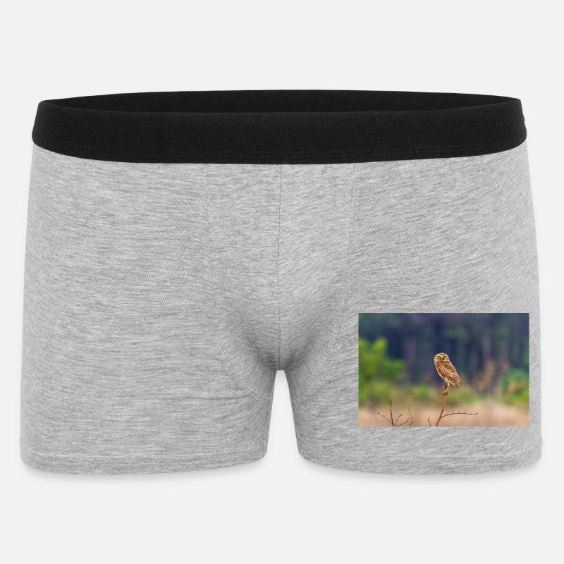 Eule die Eule - Männer Boxer Shorts - Grau meliert
