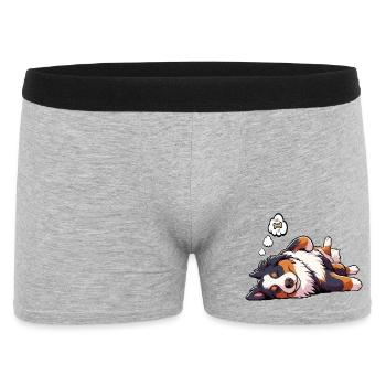 Appenzeller Sennenhund Sennenhunde Sennenhundmama - Männer Boxer Shorts - Grau meliert - Vorne
