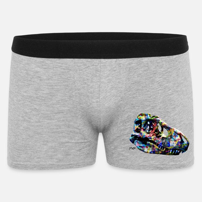 tarbosaurus - Boxer Homme - gris chiné