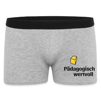 Pädagogisch wertvoll - Männer Boxer Shorts - Grau meliert - Vorne