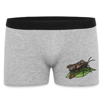 Punaise Eau Geante Riesen-Wasserwanzenblatt - Männer Boxer Shorts - Grau meliert - Vorne