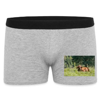 Alpen-Idylle: Kuh auf bayerischer Alm - Männer Boxer Shorts - Grau meliert - Vorne