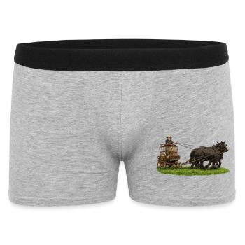 Pferde- und Kutschtour - Männer Boxer Shorts - Grau meliert - Vorne