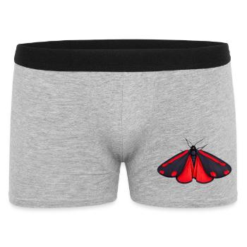Cinnabar Moth Tyria jacobaeae Cartoon Style - Boxer Homme - gris chiné - Devant
