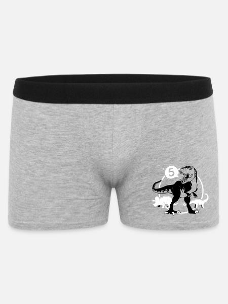 Dinosaur 5 Years T-Shirt - Men's Boxer Shorts - heather grey