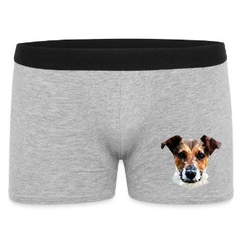 Jack Russell Terrier Chien Polygone - Boxer Homme - gris chiné - Devant