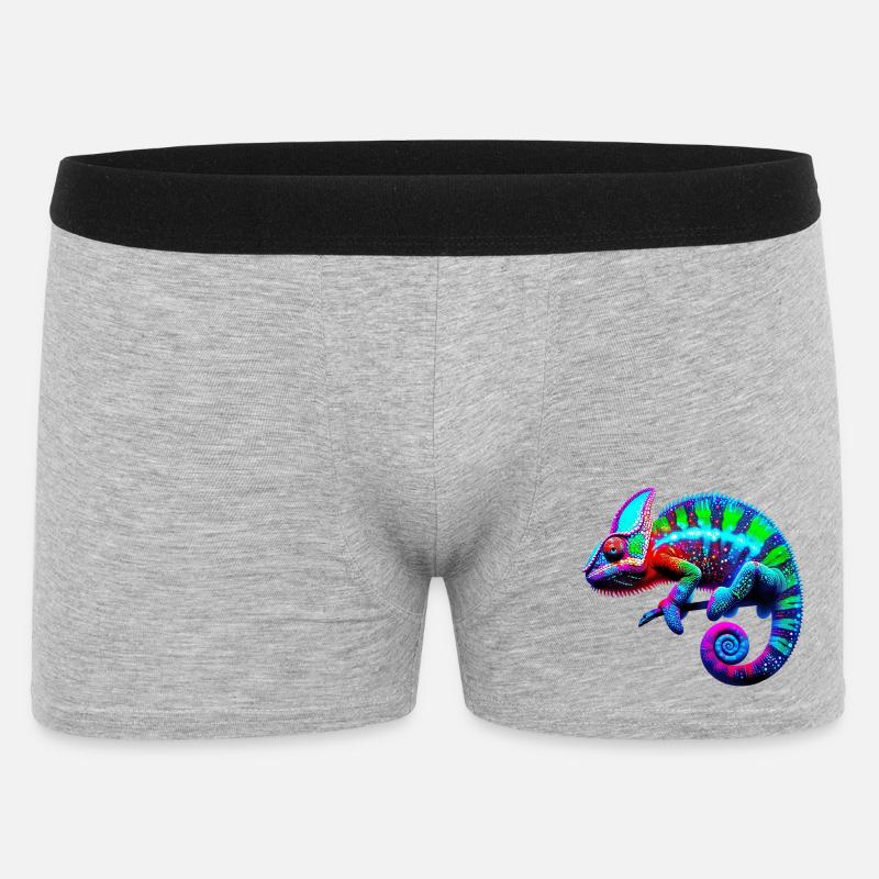 Camaleonte - Boxer da uomo - grigio melange