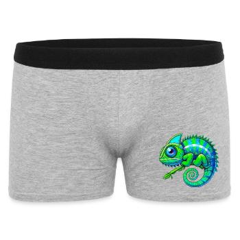Caméléon - Boxer Homme - gris chiné - Devant