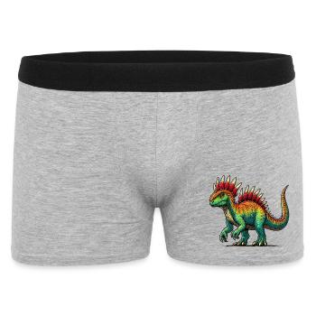 Dinosaure - Boxer Homme - gris chiné - Devant