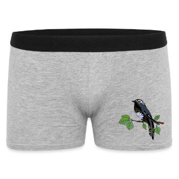 Oiseau coloré - Boxer Homme - gris chiné - Devant