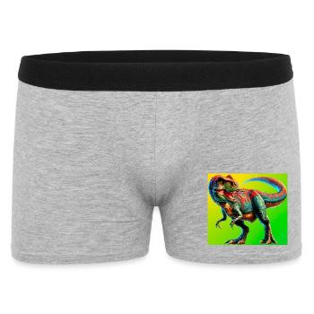 dinosaure - Boxer Homme - gris chiné - Devant