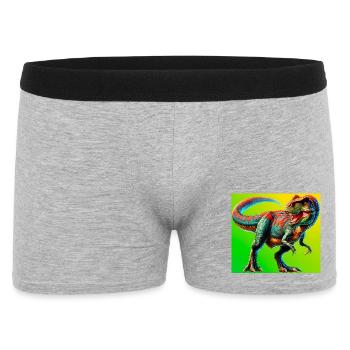 Dinosaurier - Männer Boxer Shorts - Grau meliert - Vorne