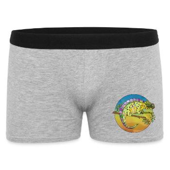 Caméléon - Boxer Homme - gris chiné - Devant