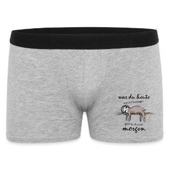 Faultier Schlaf Kopfhörer lustige Sprüche Symbol - Männer Boxer Shorts - Grau meliert - Vorne