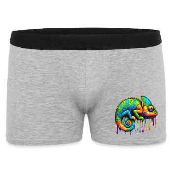 Caméléon - Boxer Homme - gris chiné - Devant