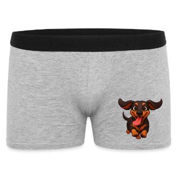 Teckel : joie, race, meilleur ami, propriétaire - Boxer Homme - gris chiné - Devant