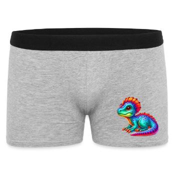 Dinosaure - Boxer Homme - gris chiné - Devant