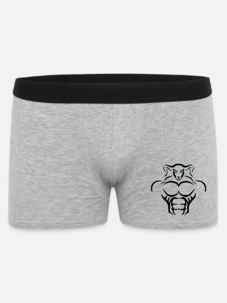 Alpha Aries Deluxe - Männer Boxer Shorts - Grau meliert