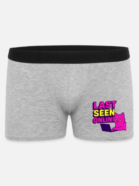 Sidst set online: Meme-design med irriteret kat - Boxer Shorts til mænd - grå meleret