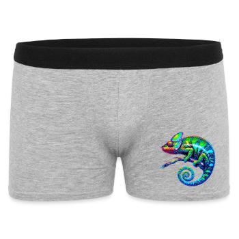 Caméléon - Boxer Homme - gris chiné - Devant