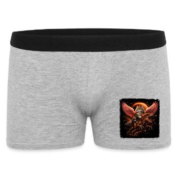 Reine des chats sur T-Rex avec des ailes dans l’espace - Boxer Homme - gris chiné - Devant
