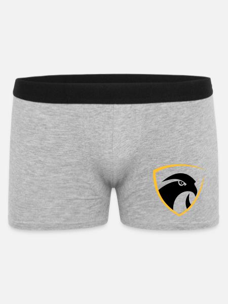 Falcon logo - Men's Boxer Shorts - heather grey