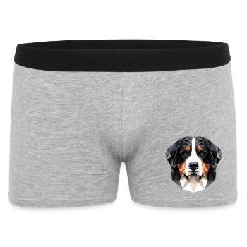 Chien de montagne bernois Chiens mignons Chiens de montagne suisses - Boxer Homme - gris chiné - Devant