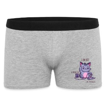Ich ignoriere dich nicht, ich ziehe den Stecker aus - Männer Boxer Shorts - Grau meliert - Vorne