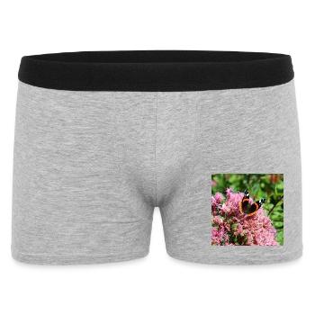 Papillons - Boxer Homme - gris chiné - Devant