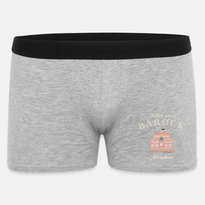 Mannheim, Palais baroque, Bade-Wurtemberg - Boxer Homme - gris chiné