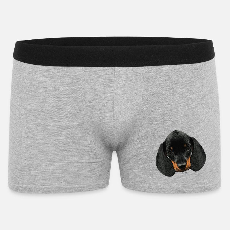 Hunde mädchen, Dackel welpe Kopf - Männer Boxer Shorts - Grau meliert