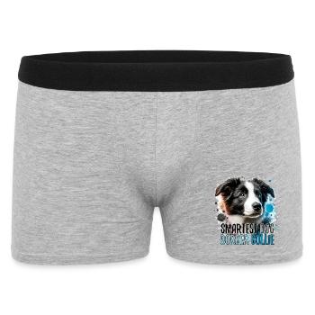 Border Collie chiot le plus intelligent chien cadeau - Boxer Homme - gris chiné - Devant