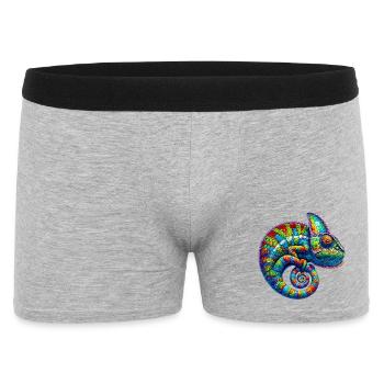 Caméléon - Boxer Homme - gris chiné - Devant