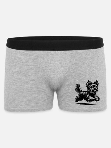 Yorkshire Terrier - Boxer Homme - gris chiné