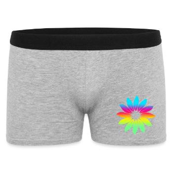 Blume Blätter Regenbogen Farben - Männer Boxer Shorts - Grau meliert - Vorne