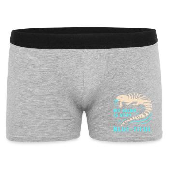 Lézard - Boxer Homme - gris chiné - Devant