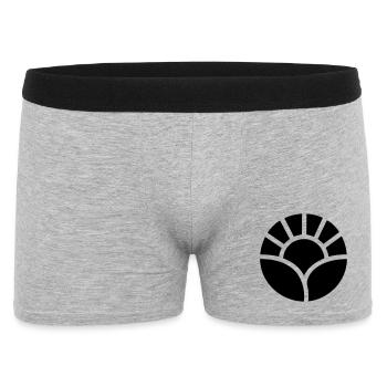 Motif du soleil et des plantes du jardinier - Boxer Homme - gris chiné - Devant