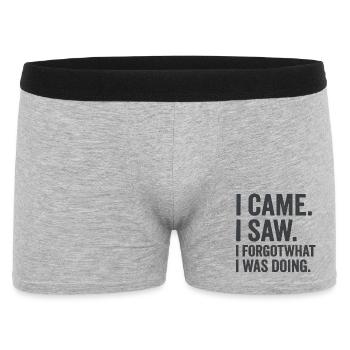Je suis venu, j’ai vu, j’ai oublié ce que je faisais. - Boxer Homme - gris chiné - Devant