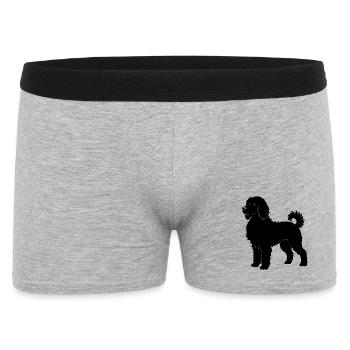 Labradoodle - Männer Boxer Shorts - Grau meliert - Vorne