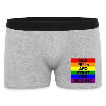 DAS B IN AFD STEHT FÜR BILDUNG, NIE WIEDER, NO AFD - Männer Boxer Shorts - Grau meliert - Vorne