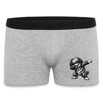 Tamponnage du chien berger de Bergame - Boxer Homme - gris chiné - Devant